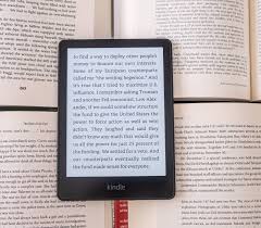 Delhi School Of Sunshine eBook
